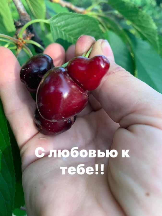 Гостьовий будинок Guests House Qotukner Karbi Екстер'єр фото